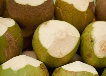 তারুণ্য ধরে রাখে ডাবের পানি