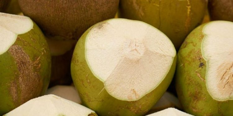 তারুণ্য ধরে রাখে ডাবের পানি