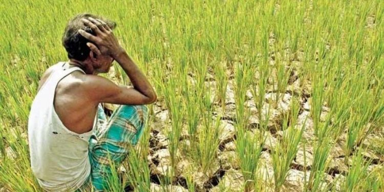 ভারতীয় কৃষকদের আত্মহত্যার নেপথ্যে কী