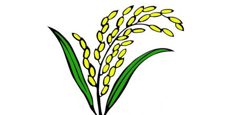 ধানের শীষে ভোট করবে ৮টি দল