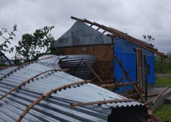 বুলবুলের তাণ্ডবে ৯ জনের প্রাণহানি