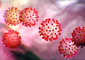 মহামারিতে রূপ নিতে পারে করোনা ভাইরাস