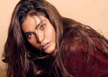 বিমান দুর্ঘটনায় পাকিস্তানি মডেলের মৃত্যু