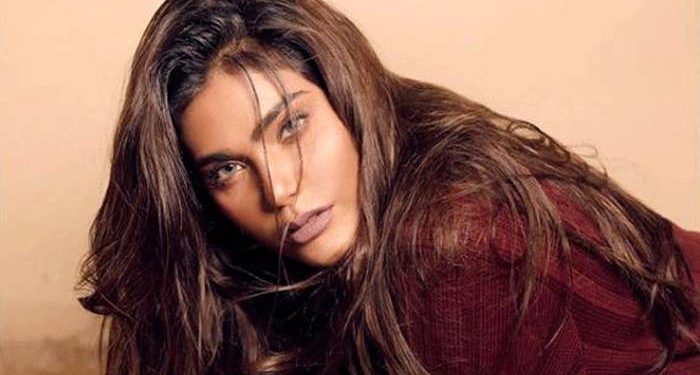 বিমান দুর্ঘটনায় পাকিস্তানি মডেলের মৃত্যু