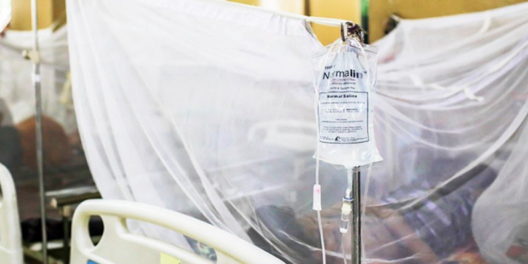 ডেঙ্গুতে আরও একজনের মৃত্যু, হাসপাতালে ভর্তি ২৪৫