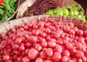 বগুড়ায় প্রতি কেজি আলু ৪০০ টাকা