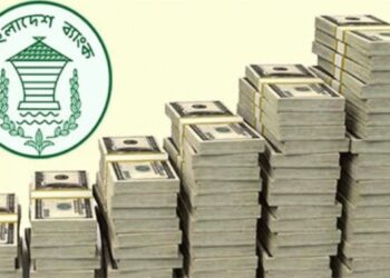 দেশের রিজার্ভ বেড়ে ১৯ দশমিক ২০ বিলিয়ন ডলার