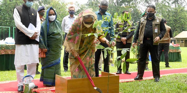 যেখানে যতটুকু জায়গা আছে, বৃক্ষরোপণ করুন: প্রধানমন্ত্রী