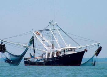 ২০ মে থেকে সাগরে মাছ ধরা নিষেধ