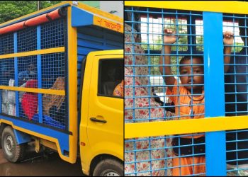 মুরগীর খাঁচায় মানুষ পরিবহন!