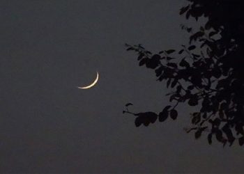 চাঁদ দেখা গেছে, ঈদুল ফিতর মঙ্গলবার