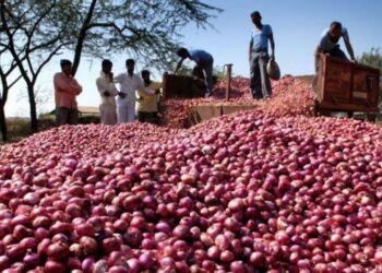 ভারত ছাড়া আরও ৯ দেশ থেকে পেঁয়াজ আমদানির অনুমতি